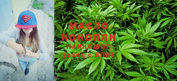гидропоника Алзамай