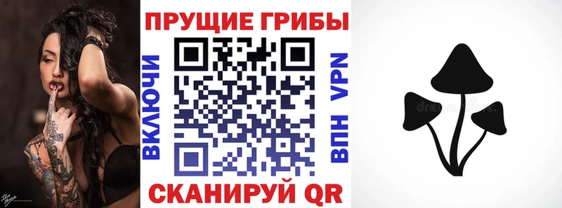 Псилоцибиновые грибы ЛСД  наркотики  Красноярск 